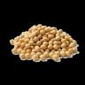 Soybean Meal