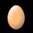 Brown Egg