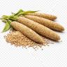 Bajra