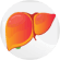 Liver Tonic