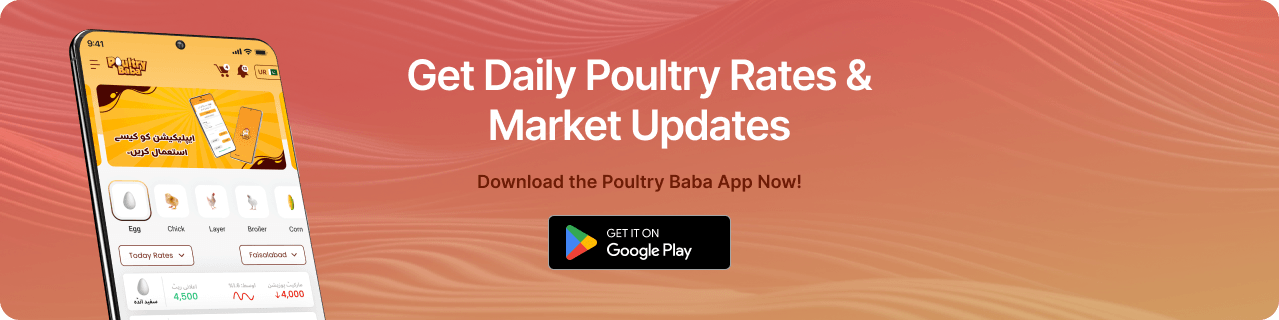 Get Daily Poultry Rates & Market Updates - Download App