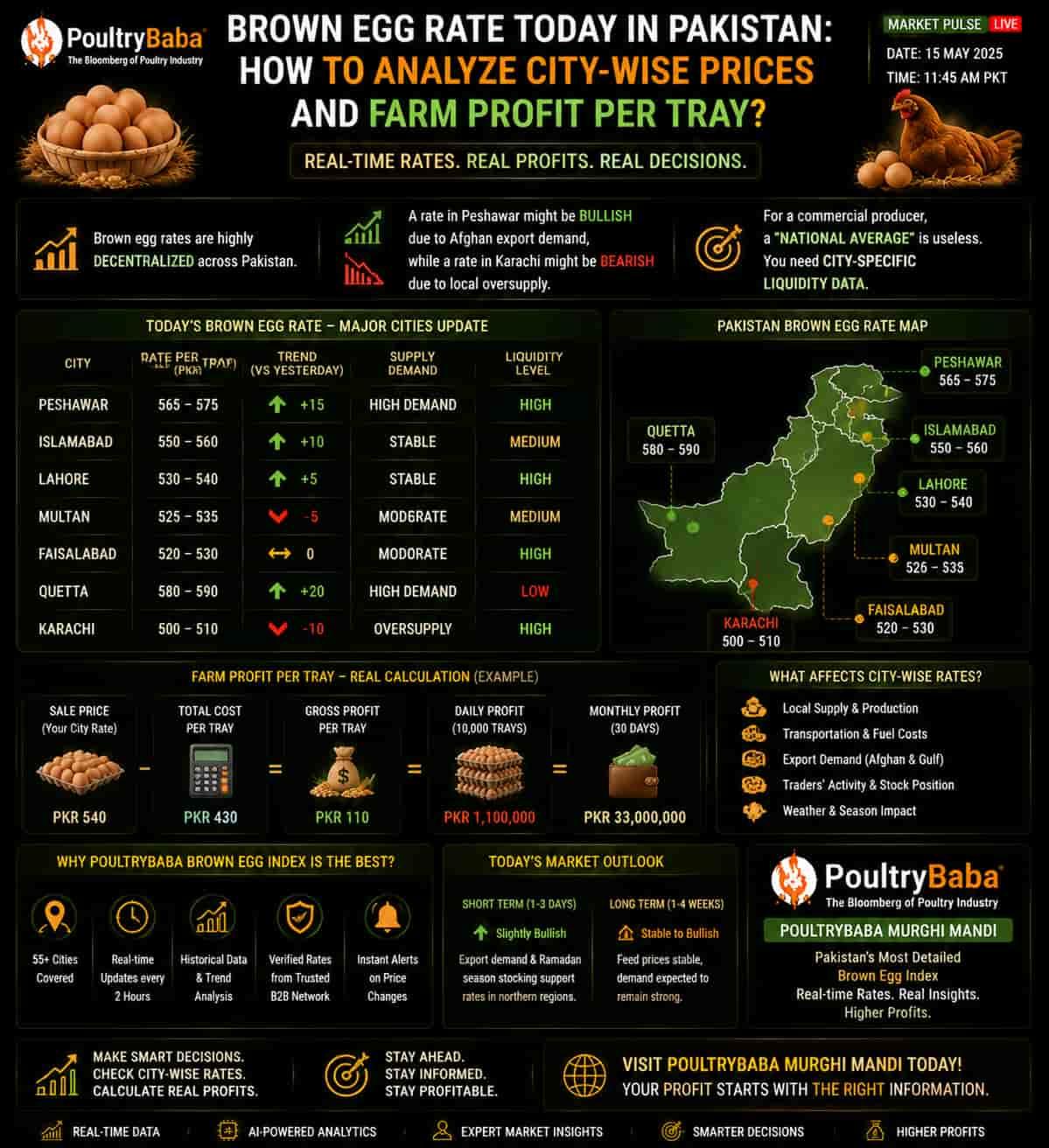 Brown egg rate today in Pakistan: How to analyze city-wise prices and farm profit per tray?