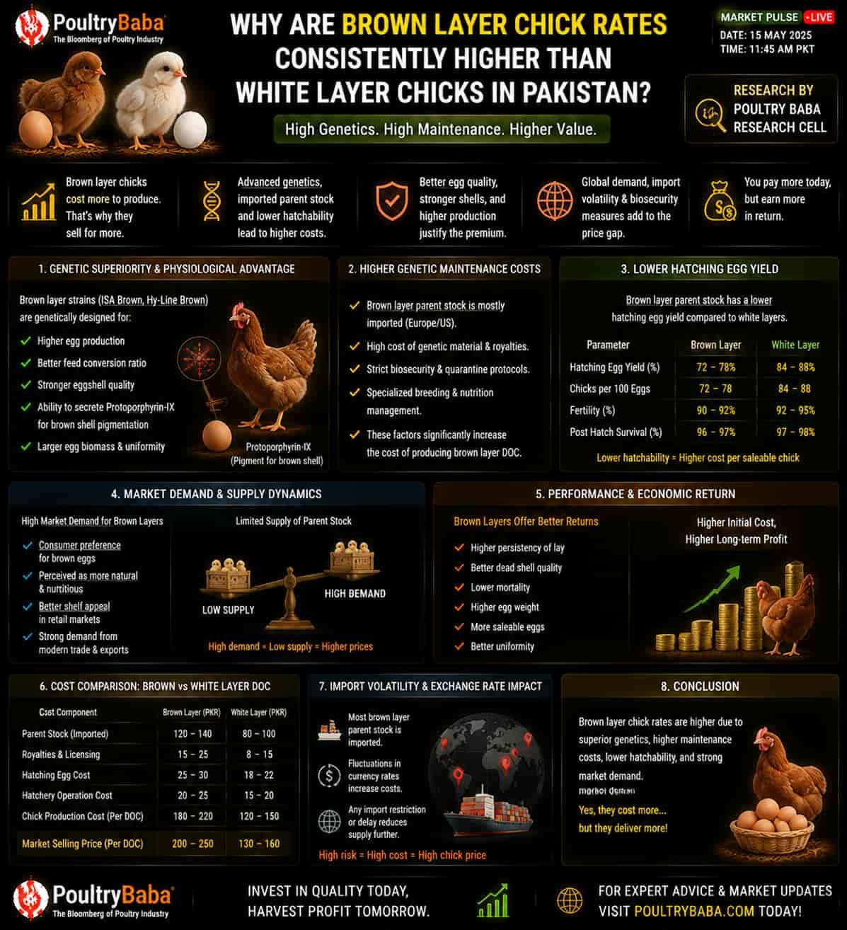 Why are Brown Layer chick rates consistently higher than white layer chicks in Pakistan?