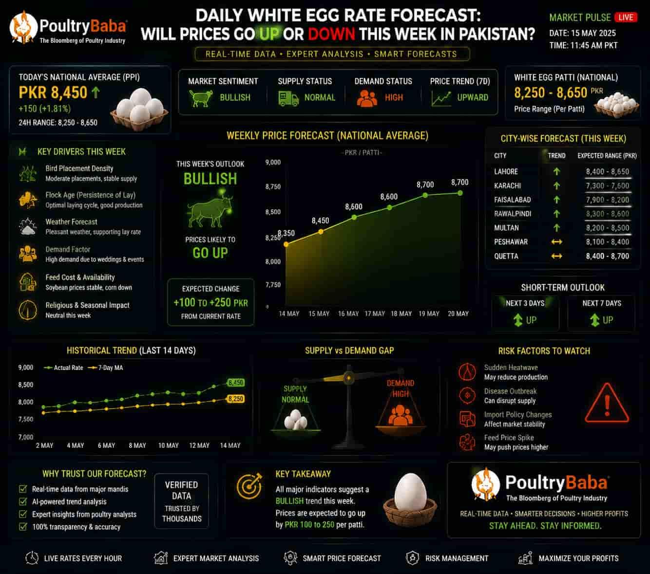 Daily white egg rate forecast: Will prices go up or down this week in Pakistan?
