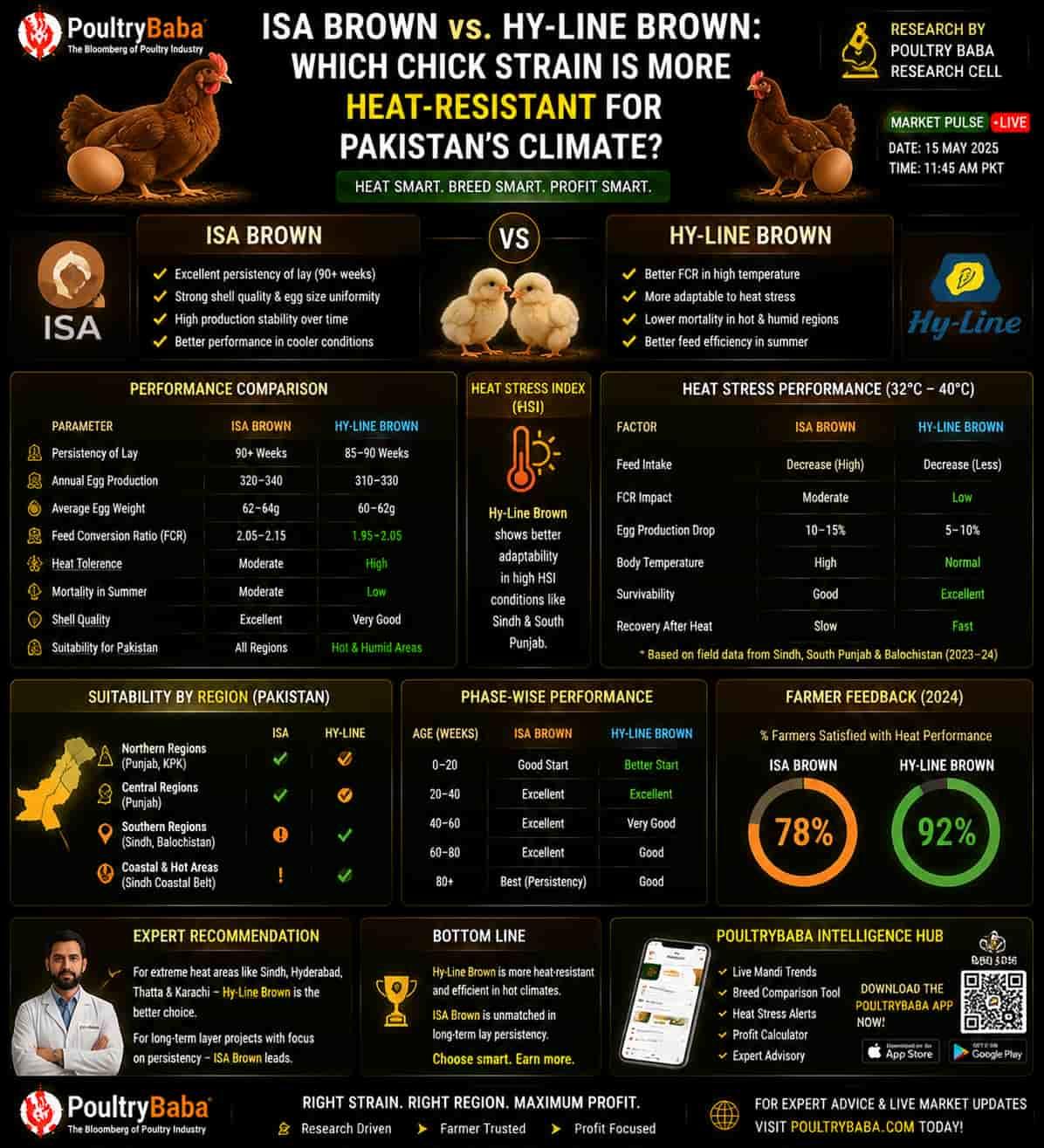 ISA Brown vs. Hy-Line Brown: Which chick strain is more heat-resistant for Pakistan’s climate?