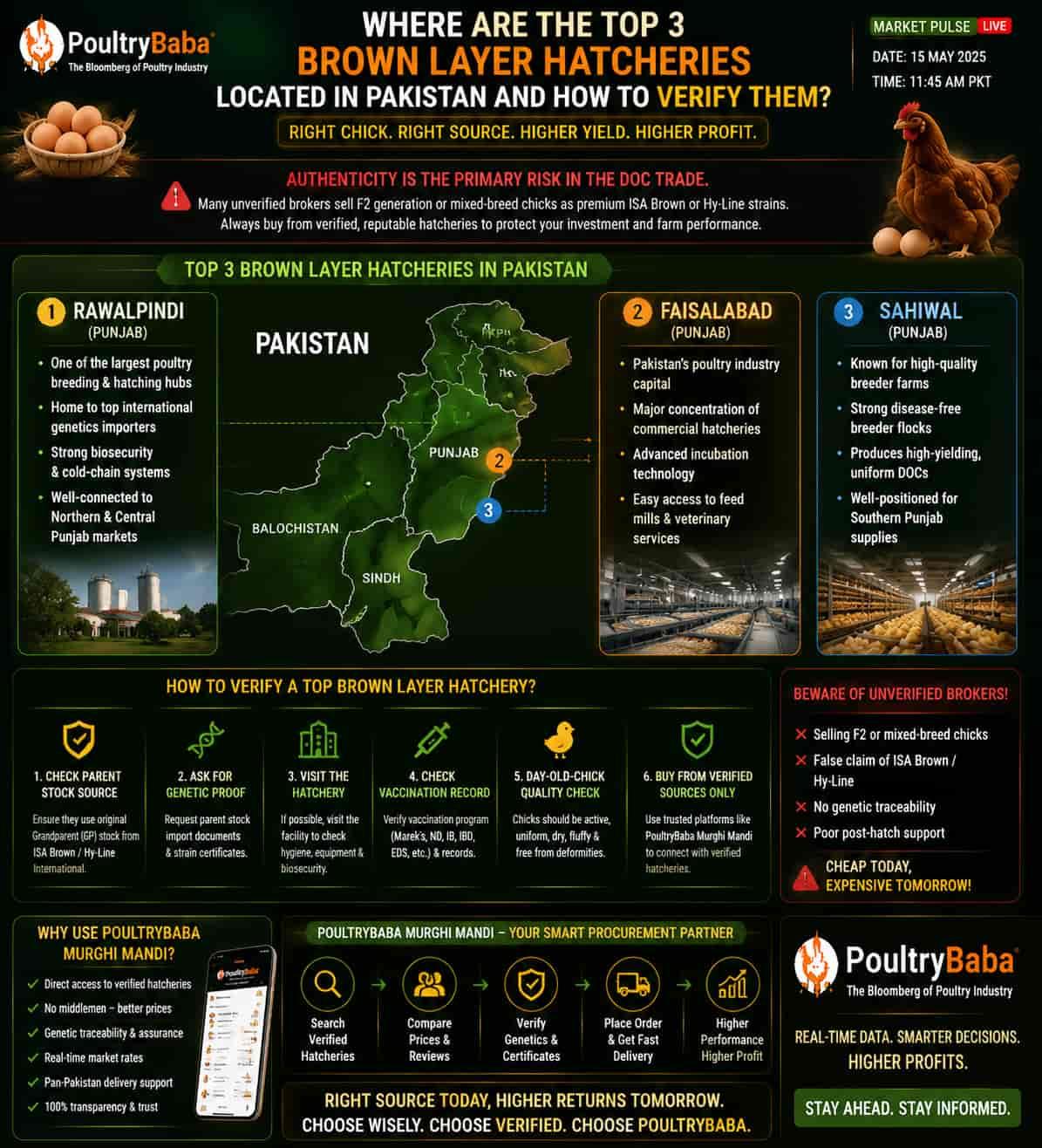 Where are the top 3 Brown Layer hatcheries located in Pakistan and how to verify them?