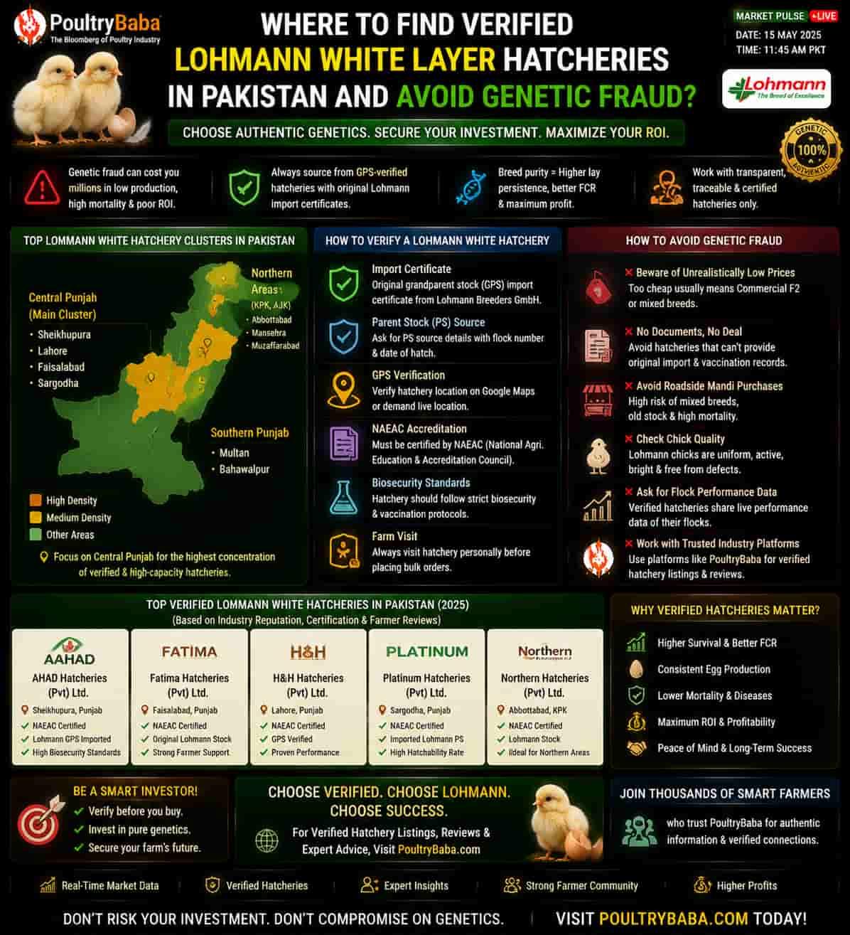 Where to Find Verified Lohmann White Layer Hatcheries in Pakistan and Avoid Genetic Fraud?