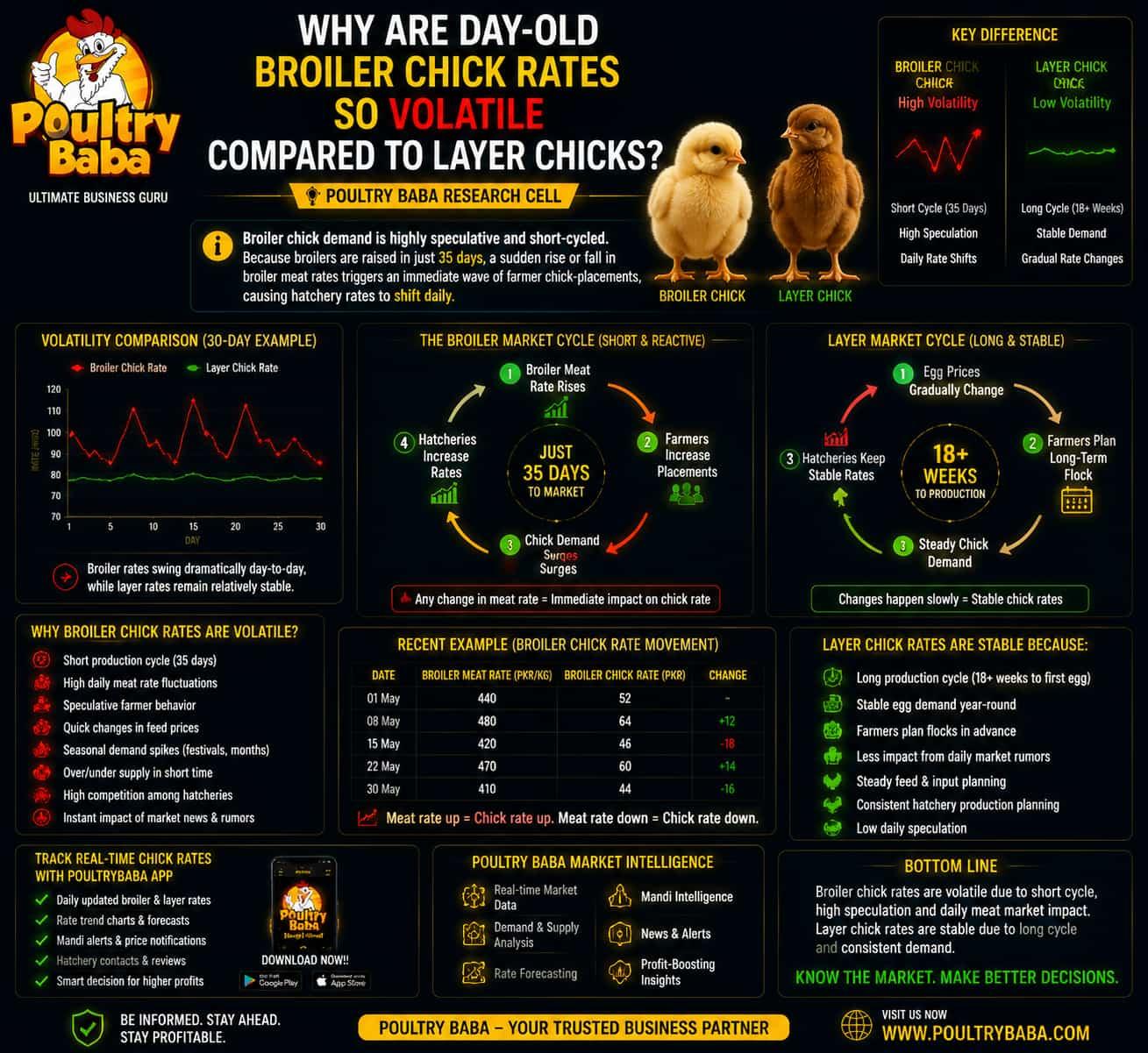 Why are day-old Broiler Chick rates so volatile compared to layer chicks?