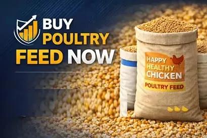 Buy Poultry Feed Advertisement