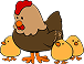 Chicks & Birds